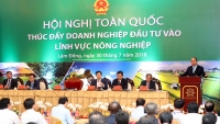 Chính phủ và cộng đồng DN cần chung sức để đưa Việt Nam vươn lên vị trí hàng đầu thế giới về nông sản