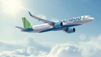 FLC đã chuẩn bị chu đáo cho dự án Bamboo Airways