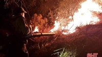 Hà Tĩnh: Cháy lớn trong đêm khiến 1,5 ha rừng keo bị thiêu rụi 