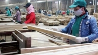 Khơi thông vướng mắc để ngành gỗ Việt Nam 