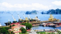 Cẩm Phả (Quảng Ninh): Kinh tế - xã hội tháng 7 tiếp tục đạt được kết quả tích cực