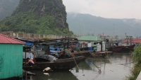 Quảng Ninh: Các địa phương thực hiện công điện khẩn về phòng chống bão số 4