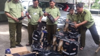 Hà Tĩnh: Bắt giữ xe tải chở 400 chai rượu Chivas, Baileys nhập lậu