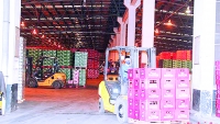 Công ty Cổ phần Bia Sài Gòn - Sông Lam: Lan tỏa thương hiệu bia Sài Gòn giữa lòng xứ Nghệ