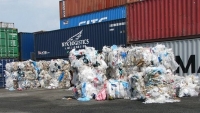 Xử lý dứt điểm hàng ngàn container phế liệu tồn đọng tại cảng biển