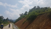 Võ Nhai, Thái Nguyên: Hàng chục nghìn m2 đất rừng đặc dụng bị phá để làm đường