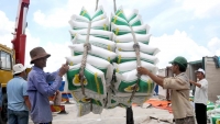 Giá gạo Thái Lan giảm gây khó cho gạo Việt
