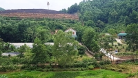 Vũ Quang, Hà Tĩnh: Dân “kêu trời” vì trại nuôi lợn gây ô nhiễm trong khu dân cư