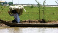 Ngăn chặn buôn lậu mùa nước lũ ở Đồng bằng sông Cửu Long