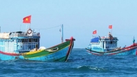 Thủ tướng chỉ đạo tăng cường giải pháp chống khai thác hải sản bất hợp pháp