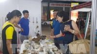 Hội chợ hàng Việt TP. Hà Nội 2018: Thu hút gần 200 doanh nghiệp tham dự