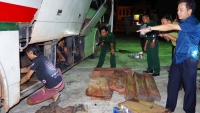 Bắt giữ gỗ lậu và pháo trên xe khách từ Quảng Trị ra Nghệ An