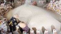 Xuất khẩu gạo dự báo sẽ sôi động hơn vào những tháng cuối năm

