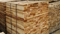Gỗ và sản phẩm gỗ của Việt Nam đang tiêu thụ tại 120 quốc gia

