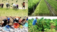 Nông lâm nghiệp vẫn duy trì vai trò trụ cột trong Cộng đồng kinh tế ASEAN