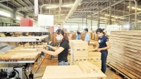 Mở cơ hội cho gỗ Việt vào thị trường EU