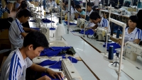 Việt Nam sẽ mất 1,8 triệu việc làm trong 10 năm tới