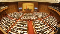 Quốc hội thảo luận dự án Luật Phòng chống tham nhũng