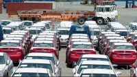 Lượng xe nhập khẩu trong tuần tăng mạnh 