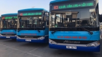 Hà Nội: Đưa vào sử dụng nhiều xe buýt mới, tiêu chuẩn chất lượng cao