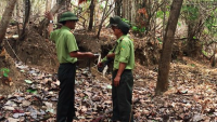 17 cán bộ kiểm lâm ở Đắk Lắk bị kỷ luật vì để mất rừng