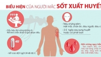 Hà Nội: Cẩn trọng với nguy cơ gia tăng dịch sốt xuất huyết 