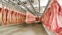 Thịt mát: Hướng ra mới của ngành chăn nuôi