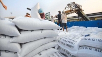 Cơ hội lớn cho xuất khẩu gạo của Việt Nam