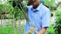 “Lạc” giữa vườn lan tiền tỷ của thầy giáo dạy Sinh ở Hà Tĩnh