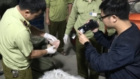 Lạng Sơn: Bắt giữ 800 kg nầm lợn đông lạnh nhập lậu không rõ nguồn gốc