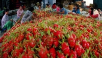 Nông nghiệp tăng trưởng mạnh, nông sản Việt Nam xuất khẩu đi khắp thế giới