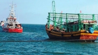 Cứu thành công 7 ngư dân và tàu cá Quảng Bình gặp nạn sau gần 7 ngày trên biển