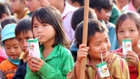 Sẽ công bố đơn vị trúng thầu chương trình sữa học đường Hà Nội vào cuối tuần này?
