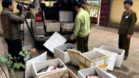 Lạng Sơn:Liên tiếp phát hiện, xử lý hàng loạt các trường hợp nhập lậu hàng hóa