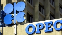 Qatar “chia tay” OPEC vào đầu năm 2019