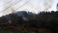 Quảng Ninh: Liên tiếp 2 vụ cháy rừng trong 2 ngày
