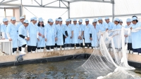 Thủ tướng thăm Khu sản xuất cá tra giống công nghệ cao tại An Giang