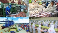 3 kịch bản đối với tăng trưởng kinh tế Việt Nam