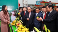 Hà Tĩnh: Khai mạc Lễ hội Cam và các sản phẩm nông nghiệp lần thứ 2
