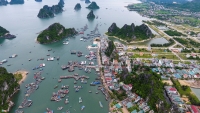 Quảng Ninh: Công ty Thủy sản Thống Nhất được giao gần 5.000m2 đất làm dự án tại Vân Đồn
