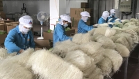 Hà Nội: Tăng cường kiểm tra vệ sinh an toàn thực phẩm tại các làng nghề dịp cuối năm