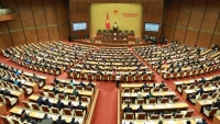 Triển khai thực hiện Nghị quyết Kỳ họp thứ 6, Quốc hội khóa XIV 