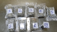 Bắt giữ 2,3kg ma túy - Chiến công lớn đầu năm của Hải quan Tân Sơn Nhất
