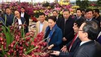 Chủ tịch Quốc hội thăm xã nông thôn mới ở Hưng Yên