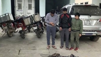 Nghệ An: Bắt nhóm đối tượng trộm chó liên huyện