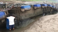 Phú Thọ: Người nuôi cá lồng điêu đứng vì sông Đà cạn nước