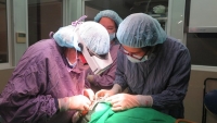 TP. Hồ Chí Minh: Hàng loạt bệnh viện thẩm mỹ tư nhân 