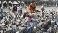 Du lịch Venice - Italy: Những cấm đoán lạ lùng