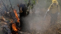 Máy bay chiến đấu và quân đội Brazil tham gia dập lửa tại Amazon
