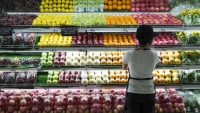 Giá lương thực vào năm tới dự báo giảm do sản lượng tăng